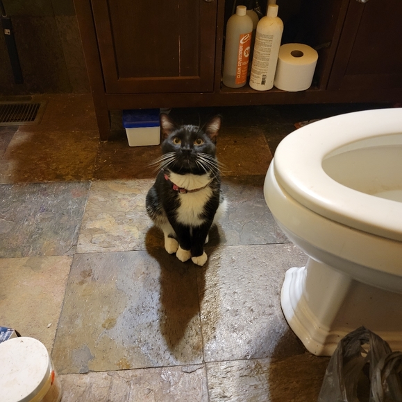 I'm a frickin weirdo, y'all 🤷♀️ - Picture 7 of 8